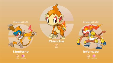 what level does chimchar evolve|Chimchar (Pokémon) .